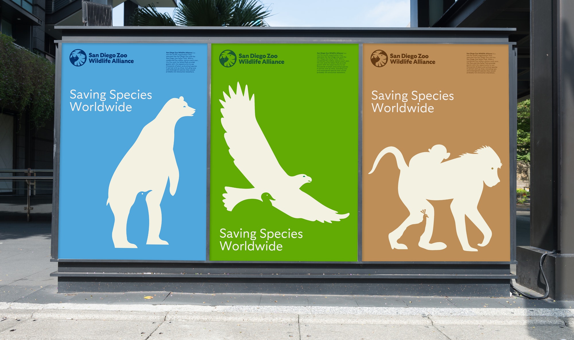 圣地亚哥动物园品牌海报